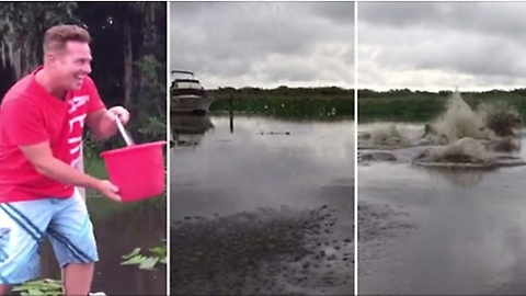 Manatees Cause Ripples When Man "Throws" Water In River