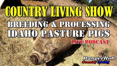 Breeding, Raising & Processing Idaho Pasture Pigs, Gardening Updates | Live Podcast Ep.81