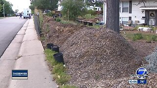 Neighbors hoping homeowner cleans Jefferson County yard