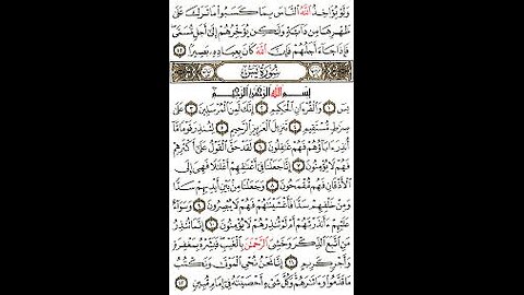 Beautiful Qur'an recitation (suratul yasin) #quran