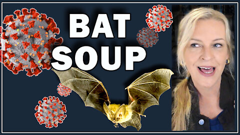 Bat Soup - Gain of Function on Viruses & the Lab Leak Story