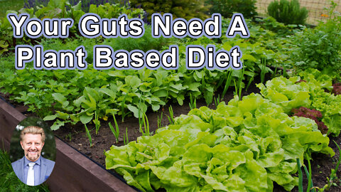 Your Guts Need For A Plant Based Diet - Brian Clement, PhD, LN