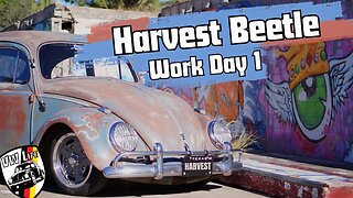 Harvest Beetle 2023 Work Day 1