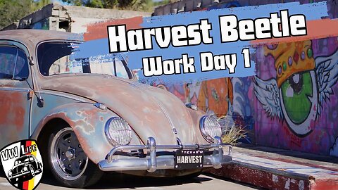 Harvest Beetle 2023 Work Day 1