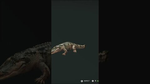 When A Good Shot Is A Bad Thing? 🤣 🐊 - theHunter: Call of the Wild #shorts