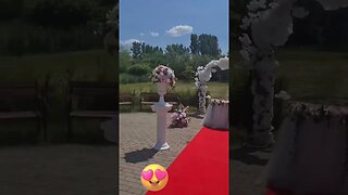 Wedding decorations/ red carpet and flowers -#shorts #youtubeshorts #wedding