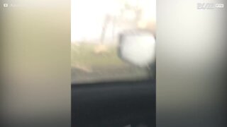 Chiusa in auto nel bel mezzo di un tornado