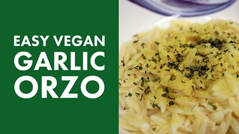 Easy Vegan Garlic Orzo