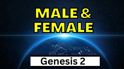 The First Man & Woman | Genesis 2