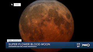 Super flower blood moon and a total lunar eclipse tomorrow