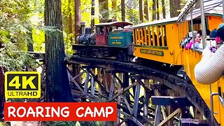 2023 Roaring Camp Railroad Redwood Forest Steam Train FULL RIDE EXPERIENCE near Santa Cruz 4K HDR