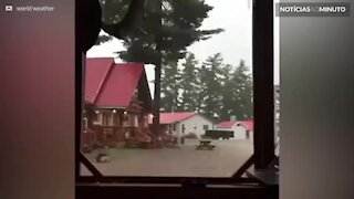 Relâmpago violento destrói árvore em tempestade no Canadá