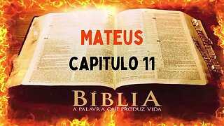 Bíblia Sagrada Mateus CAP 11