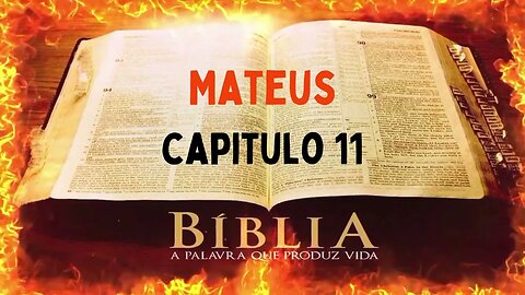 Bíblia Sagrada Mateus CAP 11