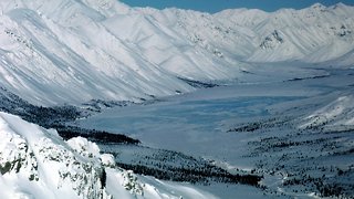 New Bipartisan Bill Would Ban Drilling In Alaska Wildlife Refuge