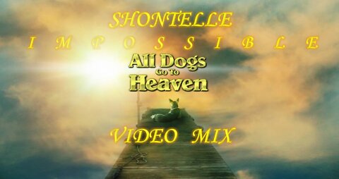 Shontelle- Impossible (All Dogs Go to Heaven Video Mix)