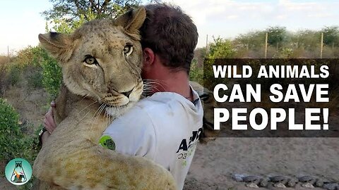 HERO ANIMALS THAT SAVED HUMAN LIVES || Please watch the video