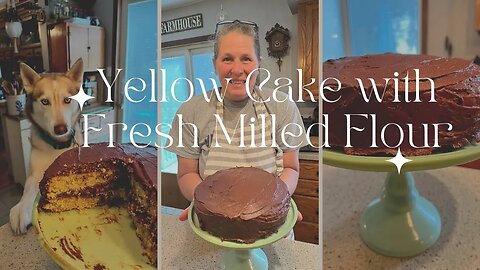 Making a Yellow Cake using Fresh Milled Flour