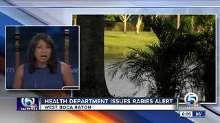 Health Department issues rabies alert in western Boca Raton