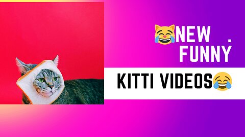 Try not to laugh 🤣🤣🤣with kitties 😹
