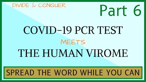Divide And Conquer | PCR Test and Human Virome | pt 6