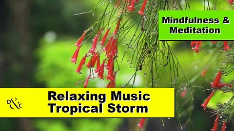 Deep Sleep Relaxing Music "Tropical Storm" (Black Screen) Meditation