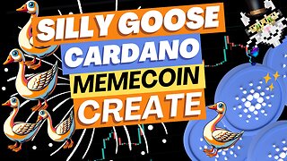 🦆Silly Goose🦆 on Cardano Setting up Minswap Pools Part2