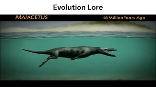 Evolution Lore #lore #evolution #memes #whale