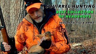 Mastering The Art Of Squirrel Hunting: Top Headshots And Tactics Revealed!