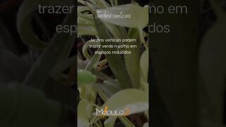 Jardins verticais podem trazer verde mesmo em espaços reduzidos