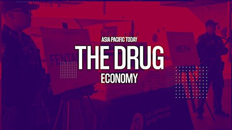 The Drug Economy. Part 2. With Dr. Louise Shelley.