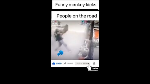 Aggressive monkey kicks .# subscribe