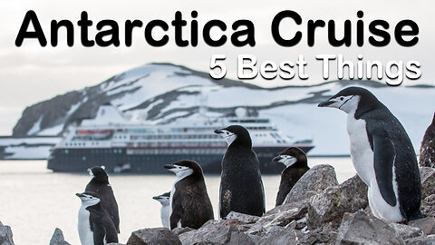5 Best And Surprising Things About An Antarctica Cruise