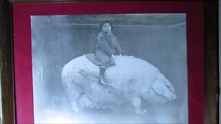 The Village Church Farm Museum Skegness Part Two