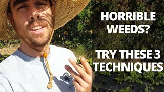 Kill Weeds Using Tarp, Landscape Fabric, & Flame Weeder