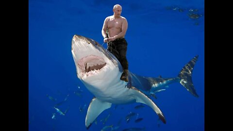 "Shark Bites on a Friday Night and Putin is WAY TOO Healthy" 7/22/22
