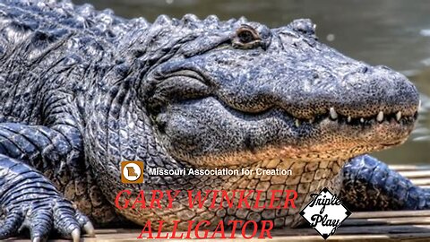 GARY WINKLER MISSOURI ASSOCIATION FOR CREATION ALLIGATORS