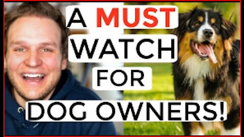 Dog training videos for beginners | New dog owner training + Where to start dog training!