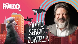 MARIO SERGIO CORTELLA - PÂNICO - AO VIVO - 17/08/20