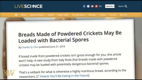 Your future food, powdered crickets, insects and parasitic diseases.