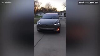 Um Tesla equipado com luzes de natal
