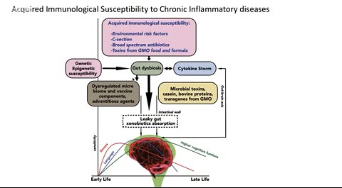 Healing the inflamed and leaky gut - Judy Mikovits