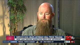 Service dog helps veteran deal with PTSD