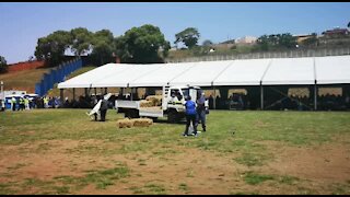 SOUTH AFRICA - Durban - Safer City operation launch (Videos) (Kc9)