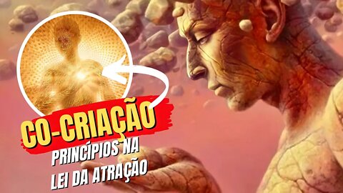 Quais são os Princípios da Co-criação? Na Lei da Atração #leidaatração #gratidão #cocriar