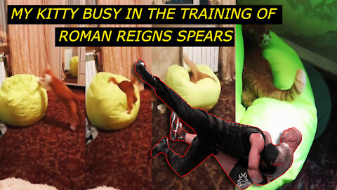 My Kitty Busy In The Training Of Roman Reigns Spears