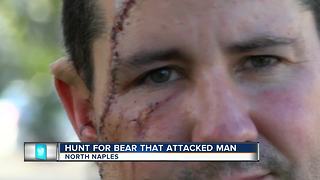 Hunt for Bear that Attacked Man