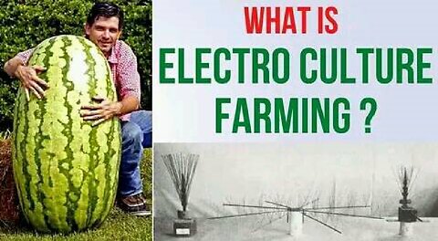 What Is Electro Culture Farming ?