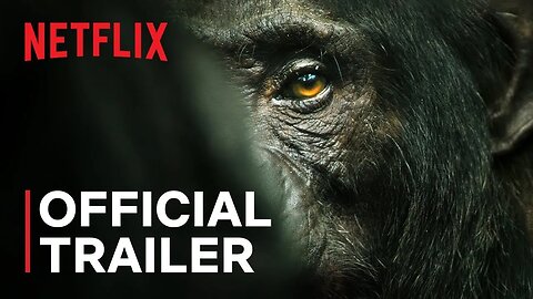 Chimp Empire Official Trailer