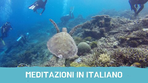 Meditazione guidata sulla respirazione consapevole e concentrazione sul respiro